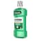 Listerine Listerine Antiseptic Freshburst Mouthwash 16.9 oz. Bottle, PK6 5293753 - alternate 5